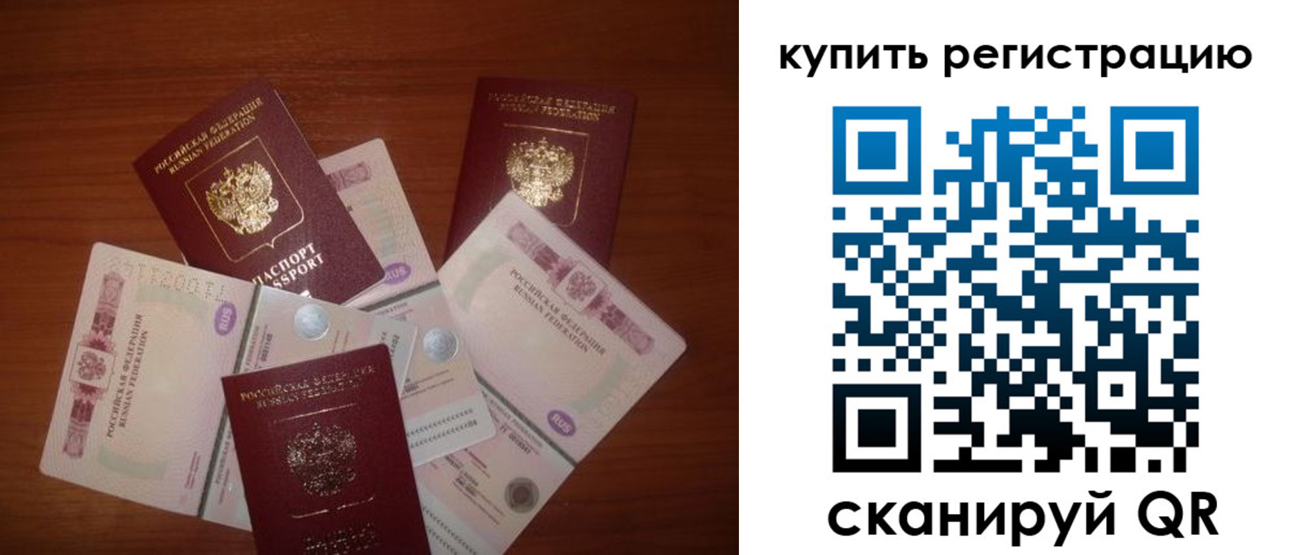 временная регистрация гарантия в Светлогорске